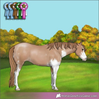 Horse Color:Black Pearl Sabino