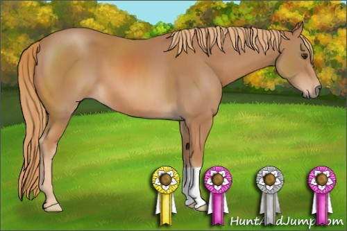 Horse Color: Chestnut 