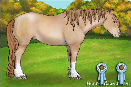 Horse Color: Chestnut Pearl 