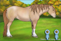 Horse Color:Chestnut Pearl