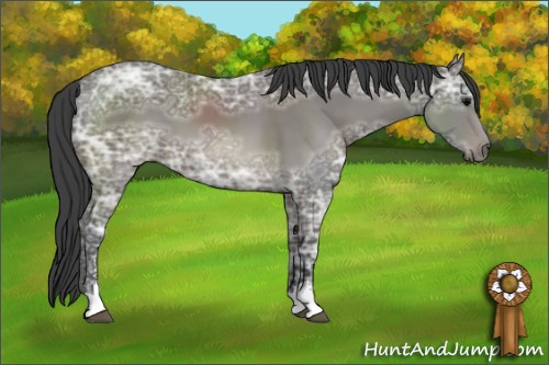 Horse Color: Black Ice Sabino 