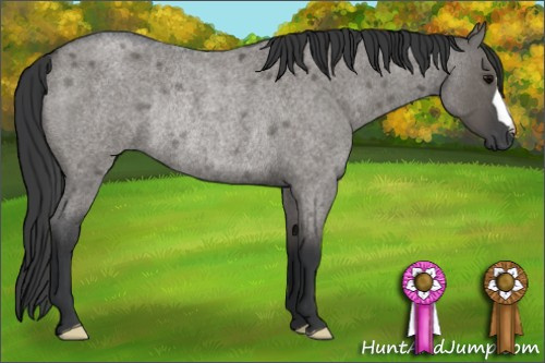 Horse Color: Grullo Roan Rabicano 