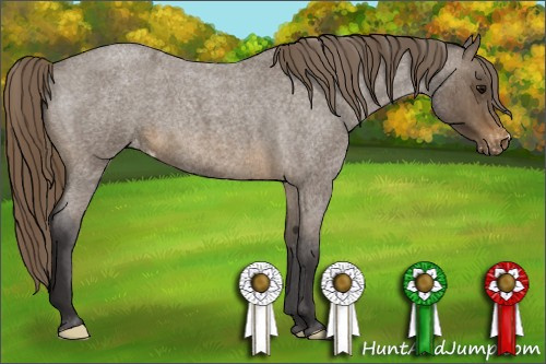 Horse Color: Buckskin Roan Varnish 