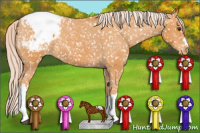 Horse Color:Chocolate Palomino Appaloosa 