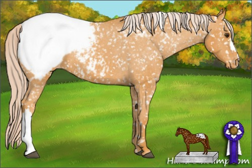Horse Color: Chocolate Palomino Snowcap 