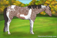 Horse Color:Bay Ice Tobiano 