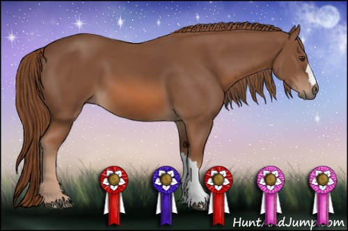 Horse Color: Liver Chestnut 