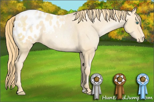 Horse Color: Smoky Black Pearl Sabino Blanket 