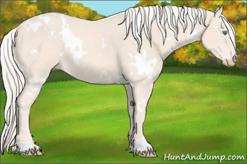 Horse Color: White Spotted Cremello 