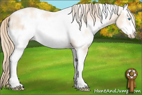 Horse Color: White Spotted Perlino Frame 
