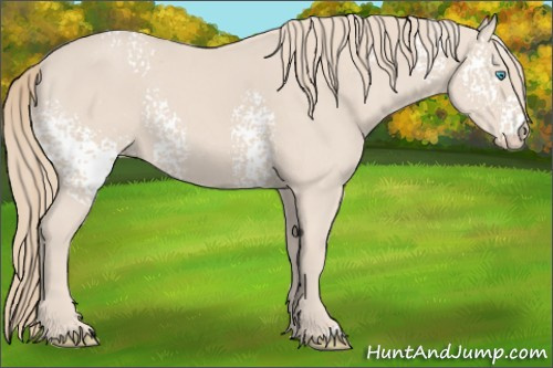 Horse Color: White Spotted Perlino 