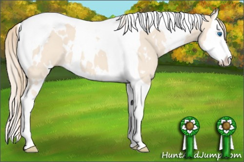 Horse Color: White Spotted Perlino Splash Tobiano 