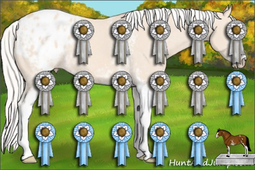 Horse Color: White Spotted Silver Perlino Sabino Blanket 