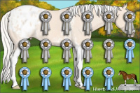 Horse Color:White Spotted Silver Perlino Sabino Appaloosa 