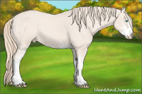 Horse Color:Perlino Sabino Varnish 