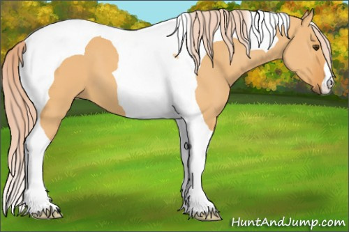 Horse Color: Palomino Dun Tobiano 