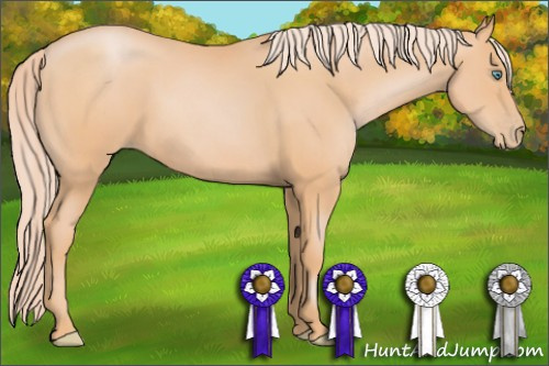 Horse Color: Chocolate Palomino Pearl 