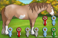 Horse Color:Bay Pearl Splash Frame