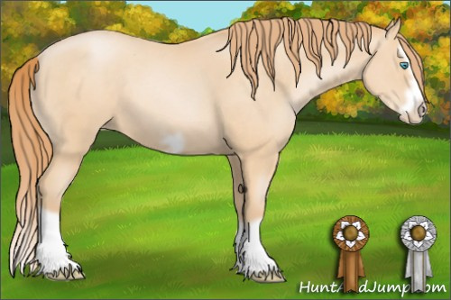 Horse Color: Buckskin Pearl Splash Frame 