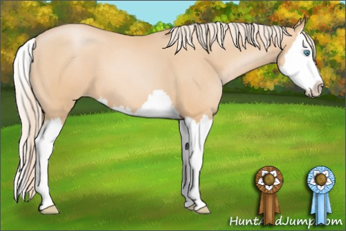 Horse Color: Palomino Pearl Splash 