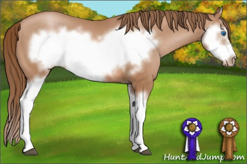 Horse Color: Brown Pearl Splash Frame 
