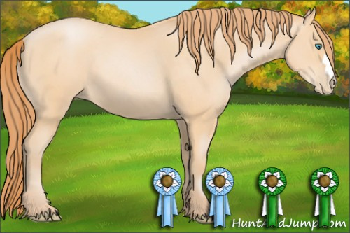 Horse Color: Buckskin Pearl 