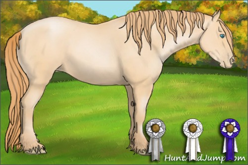 Horse Color: Buckskin Pearl 