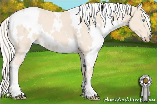 Horse Color: White Spotted Cremello 