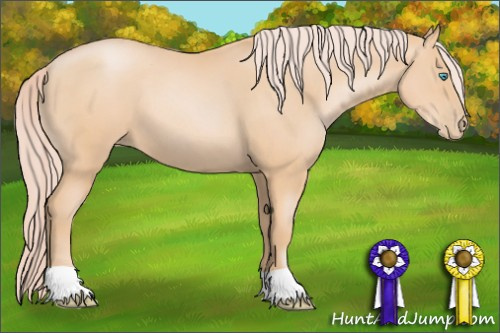 Horse Color: Chocolate Palomino Pearl 