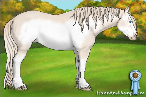 Horse Color: Perlino Splash Frame 