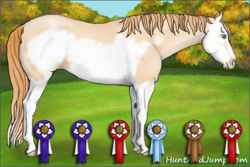Horse Color: Buckskin Pearl Splash Frame 