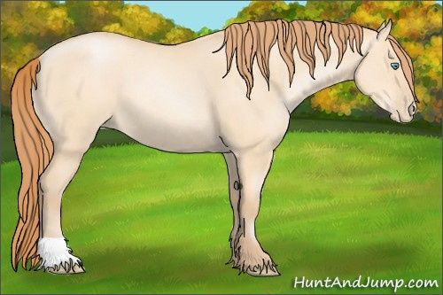 Horse Color: Buckskin Pearl Dun 