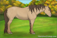 Horse Color:Sable Cream Champagne Dun