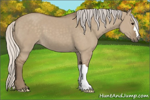 Horse Color: Silver Smoky Grullo 