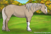 Horse Color:Silver Smoky Grullo 