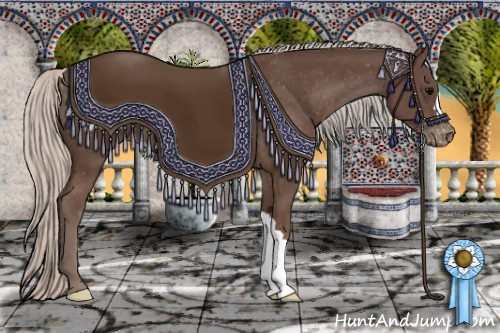 Horse Color: Silver Brown Blanket 