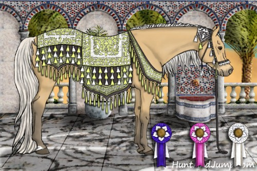 Horse Color: Silver Buckskin 