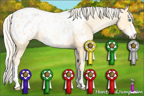 Horse Color: Palomino Pearl Sabino Blanket 