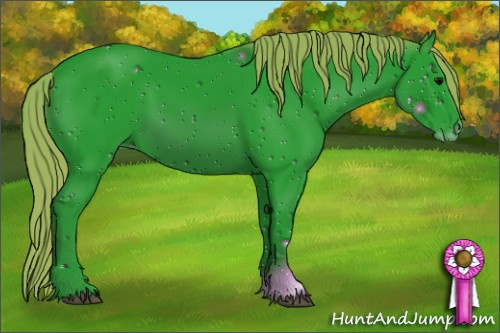 Horse Color: ERROR: UNKNOWN ANOMALY