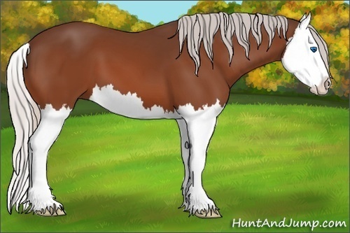 Horse Color: Silver Bay Splash 