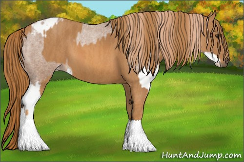 Horse Color: Red Roan Splash Blanket Rabicano  Brindle
