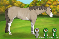 Horse Color:Classic Cream Champagne Sabino Rabicano