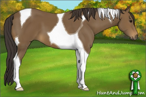 Horse Color: Buckskin Tobiano 
