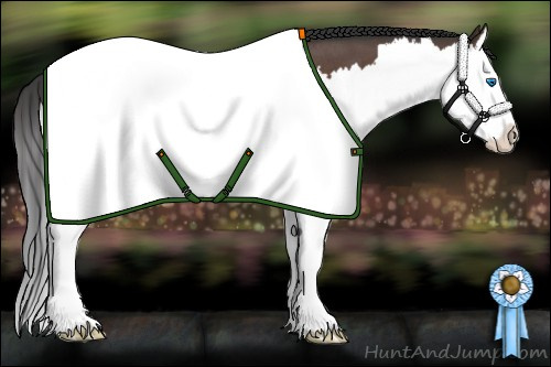 Horse Color: Brown Roan Splash 