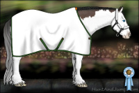 Horse Color:Brown Roan Splash 