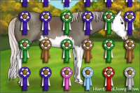Horse Color:Silver Black Sabino Splash 