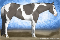 Horse Color:Brown Dun Splash Tobiano