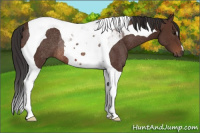 Horse Color:Brown Tobiano Rabicano 