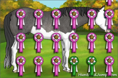 Horse Color: Black Splash Rabicano 