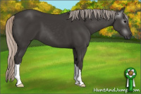 Horse Color:Gray Silver Black 